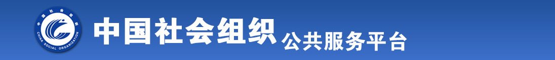 男女插鸡全国社会组织信息查询